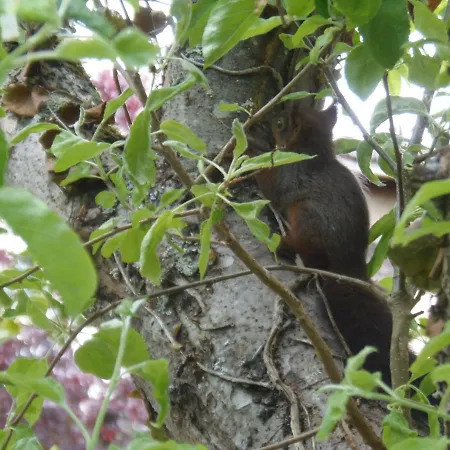 アパート Les Cimaises Du Couvent