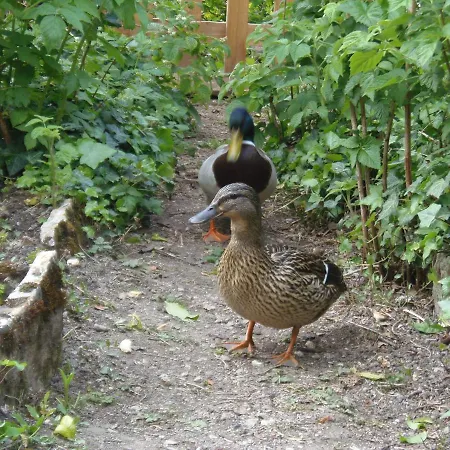 アパート Les Cimaises Du Couvent *