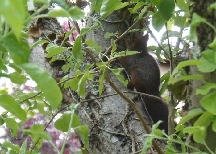 Apartment Les Cimaises Du Couvent