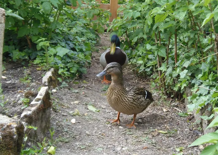 Apartment Les Cimaises Du Couvent *